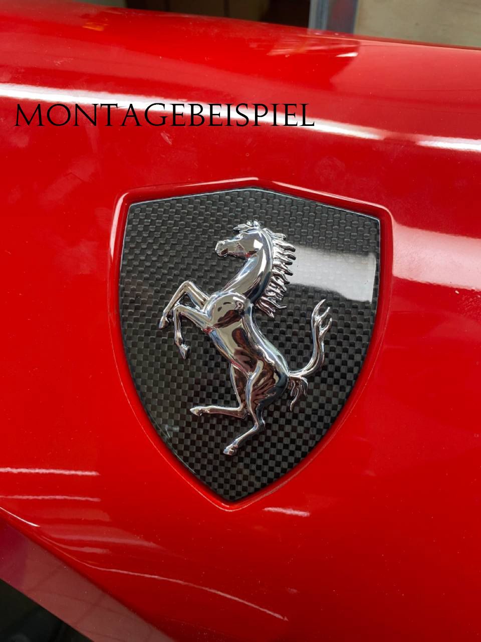 Ferrari 458 Carbon Scuderia Embleme Kotflügel