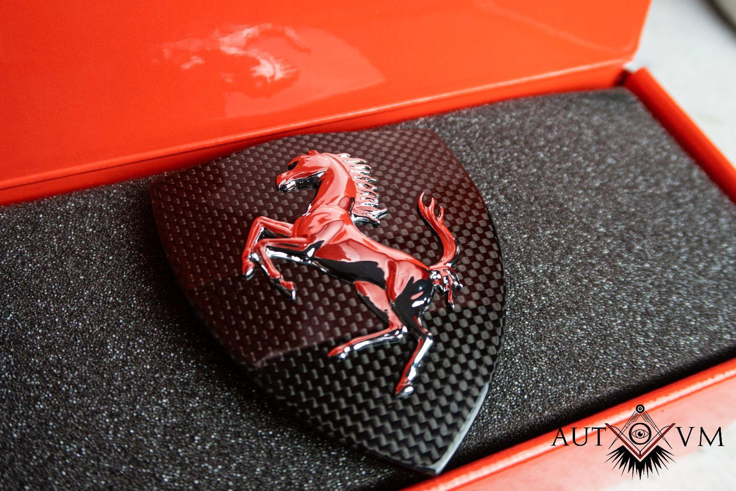 Ferrari 458 Carbon Scuderia Embleme Kotflügel